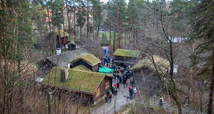Musée en plein air avec maisons traditionnelles aux toits de chaume et visiteurs.