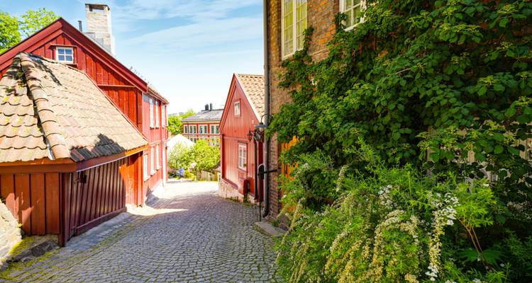 Charmante vieille rue avec des maisons en bois rouge couvertes de feuilles.