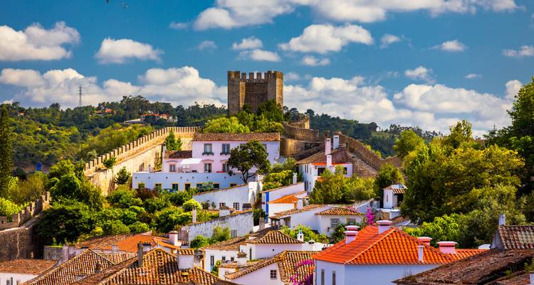 Historic town with towering castle walls, lush greenery, and tiled rooftops.