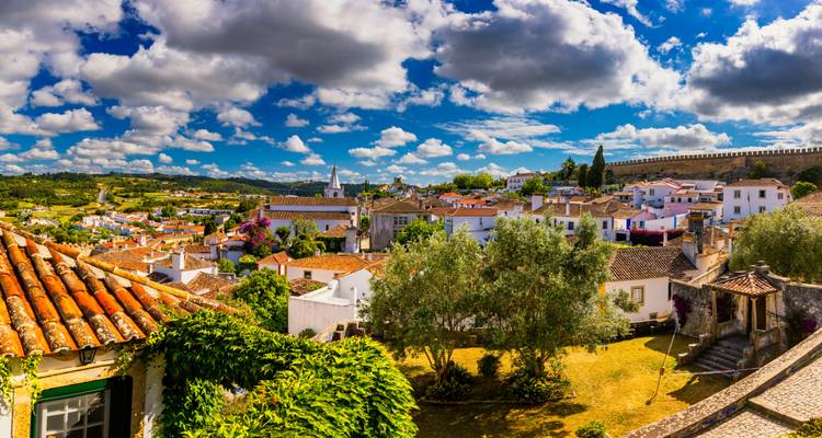 Panoramic view of a historic town with white houses and lush greenery under a bright sky.