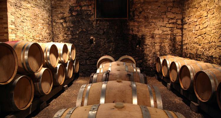 Intérieur d'une cave de vinerie avec des tonneaux en bois.
