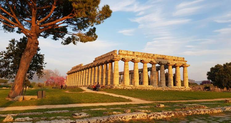 Temple de style grec antique entouré d'arbres.