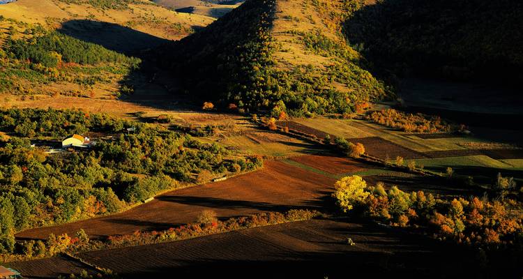 Vue aérienne de terres agricoles avec collines et forêts.