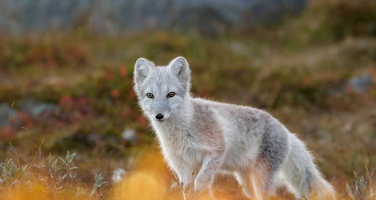 Norway: a holiday full of natural wonders - Worldee 7