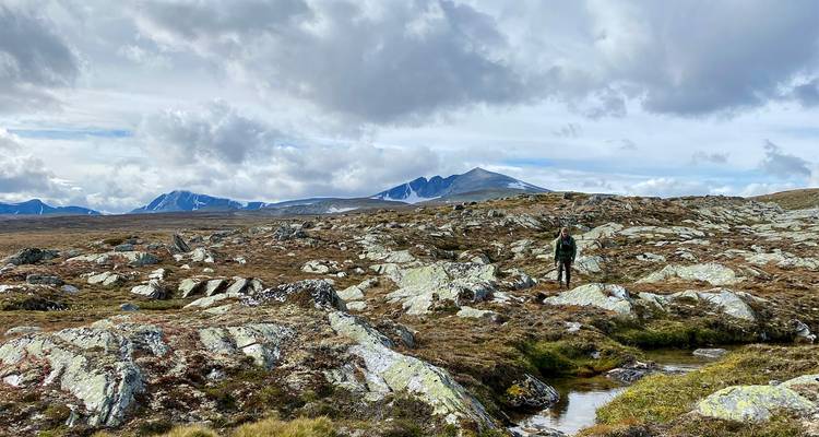 Norway: a holiday full of natural wonders - Worldee 6