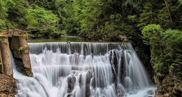 Cascade soyeuse dans un cadre forestier.