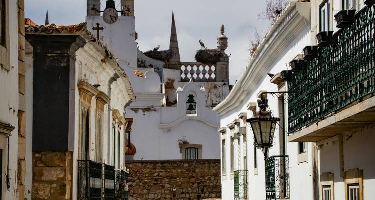 Street view with historical architecture and birds on rooftops.