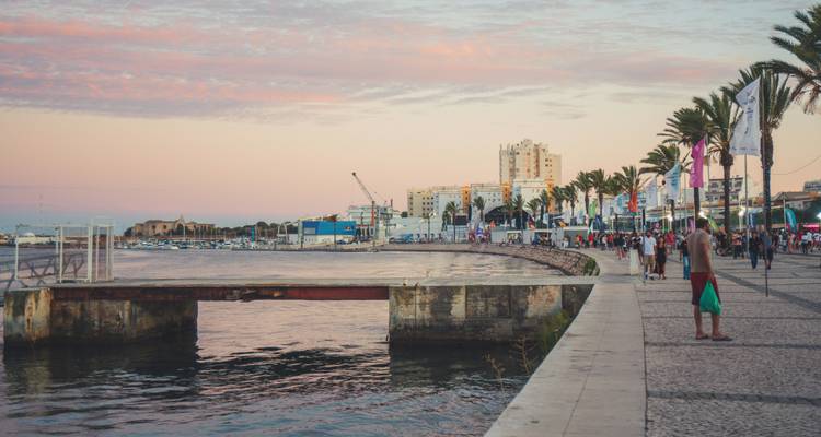 Urban waterfront area with people walking and palm trees at dusk.