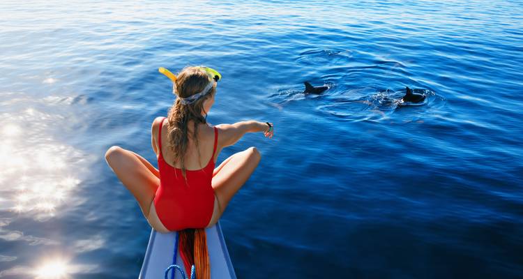 Woman on a boat observing dolphins in the ocean.