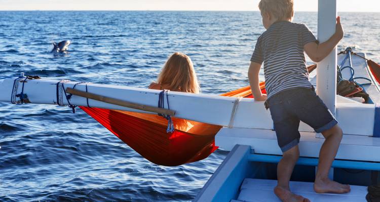 Children on a boat hammock with dolphins in the water.