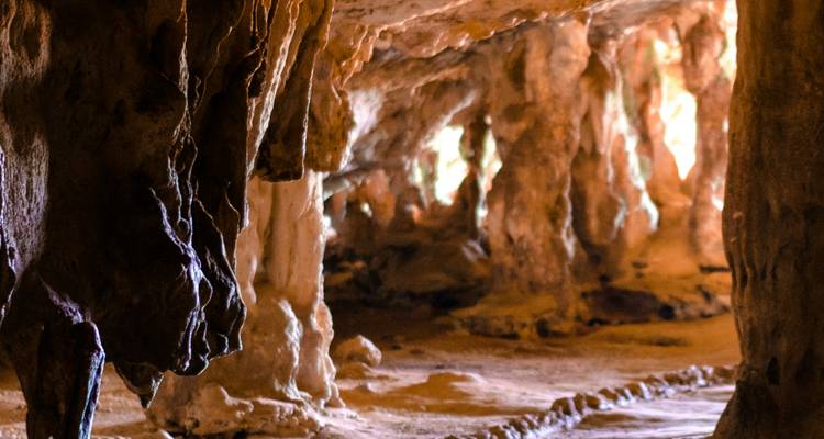 La Garrotxa: Where Fire Created Beauty - Worldee 3