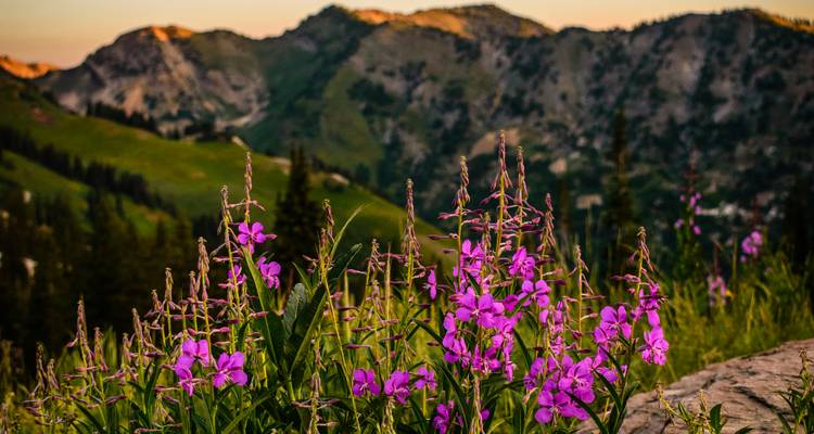 La Garrotxa: Where Fire Created Beauty - Worldee 10