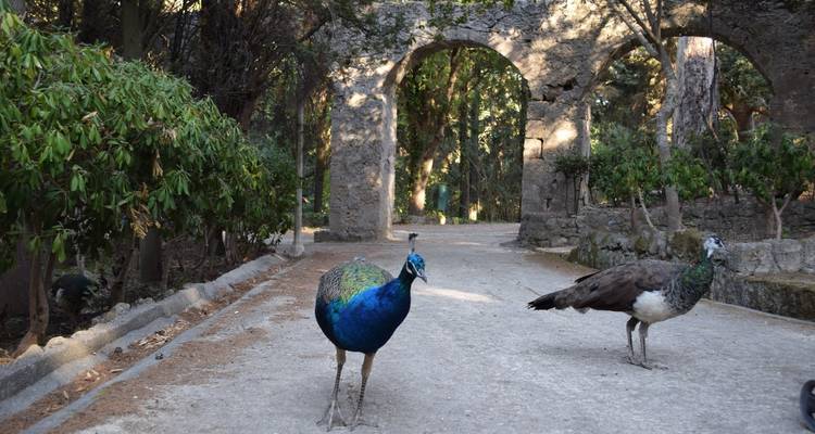 Les vacances parfaites en famille à Rhodes, Grèce - Worldee 6