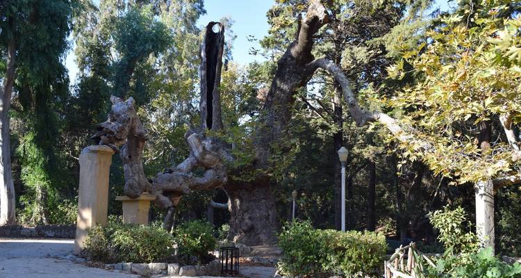 Les vacances parfaites en famille à Rhodes, Grèce - Worldee 4