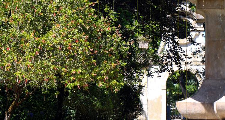 Tuinbeplanting en stenen structuur.