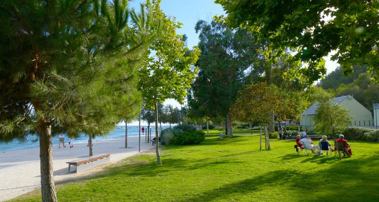 People relaxing in a park by the seaside.