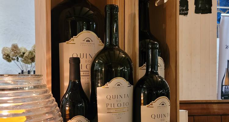 Close-up of wine bottles on a shelf.