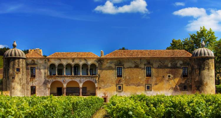 Historic building with a vineyard.