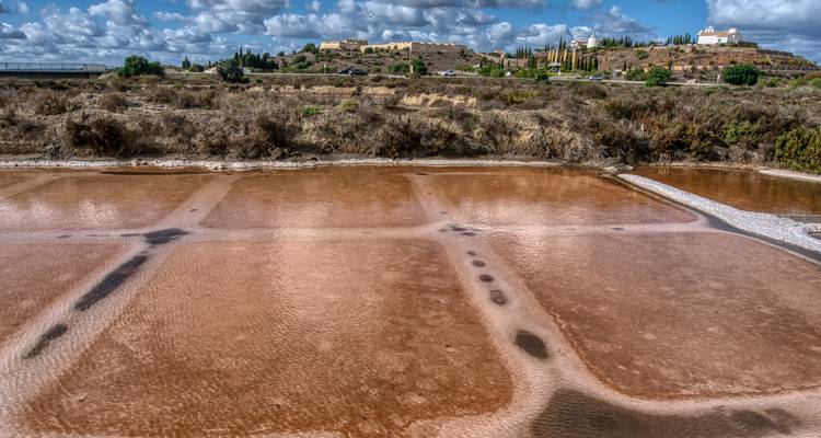 Salines avec bâtiments historiques au loin.
