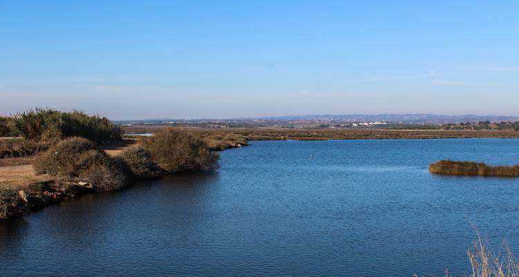 Vue sur la rivière avec collines lointaines et verdure.