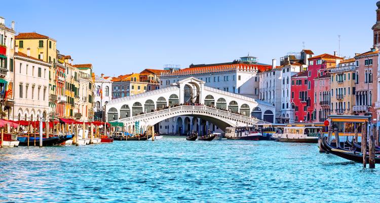 Rialto Brug over Venetië's Canal Grande, met gondels en levendige gebouwen.
