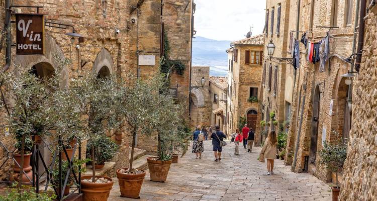 Charming stone alleyway with olive trees and tourists.