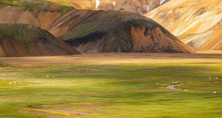 Colorful hills and grassy plains with light shining through.