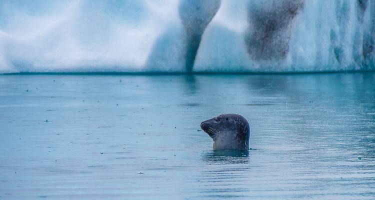 Aventure en Islande : geysers, chutes d'eau et fjords mystérieux - Worldee 10