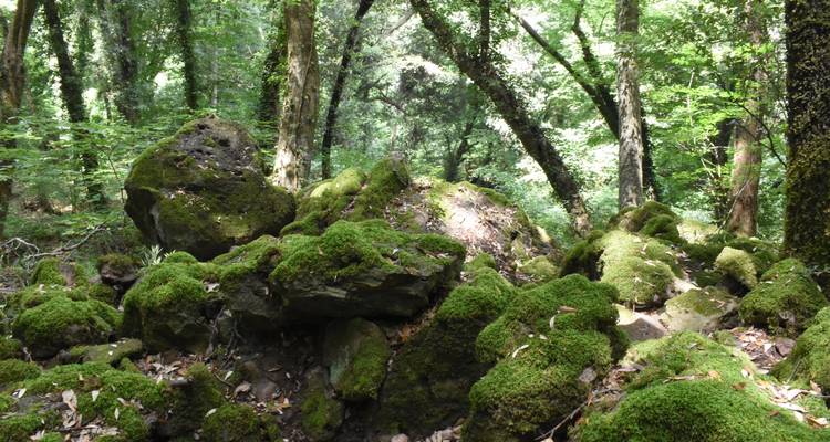 Family Time in the Nature of Tuscany - Worldee 3