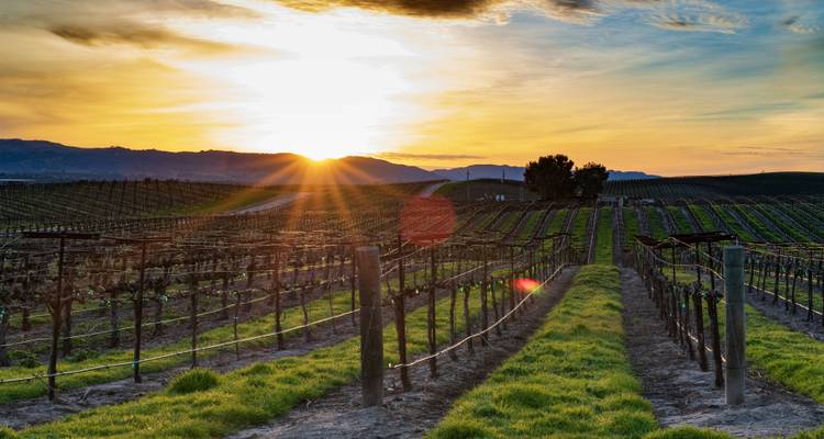 Gastronomic and wine tour of France - Worldee 10