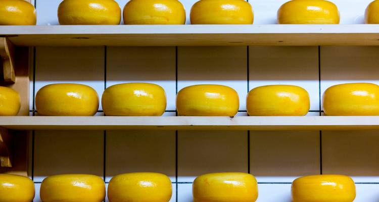 A symphony of flavours, cider and wine in the heart of Normandy - Worldee 9