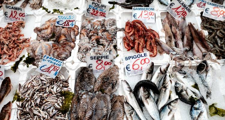 A symphony of flavours, cider and wine in the heart of Normandy - Worldee 5
