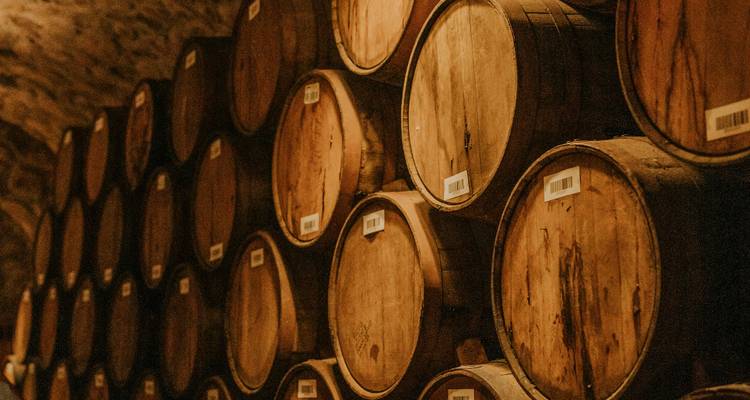A symphony of flavours, cider and wine in the heart of Normandy - Worldee 4