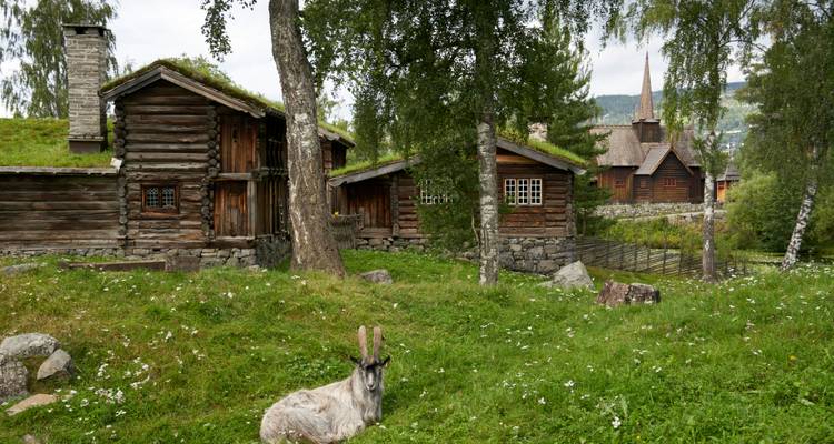 Family adventure in Norway - Worldee 8