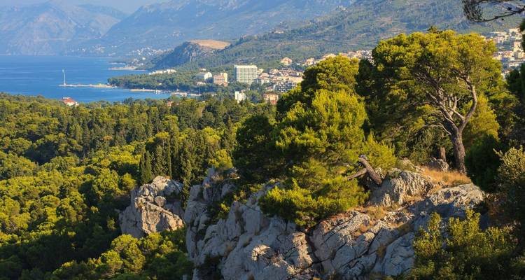 Overlooking view of a coastal town surrounded by forest.
