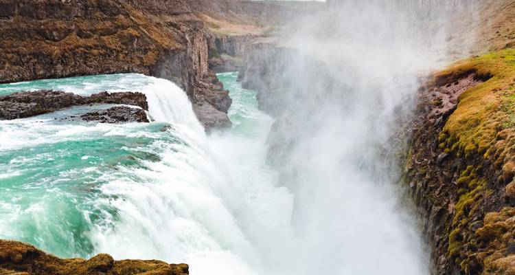Whale Watchers & Puffin Chasers: A 5-Day Icelandic Funventure - Worldee 7