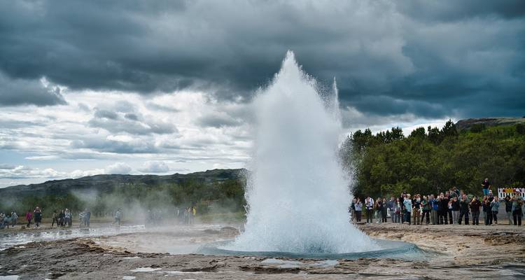 Whale Watchers & Puffin Chasers: A 5-Day Icelandic Funventure - Worldee 3
