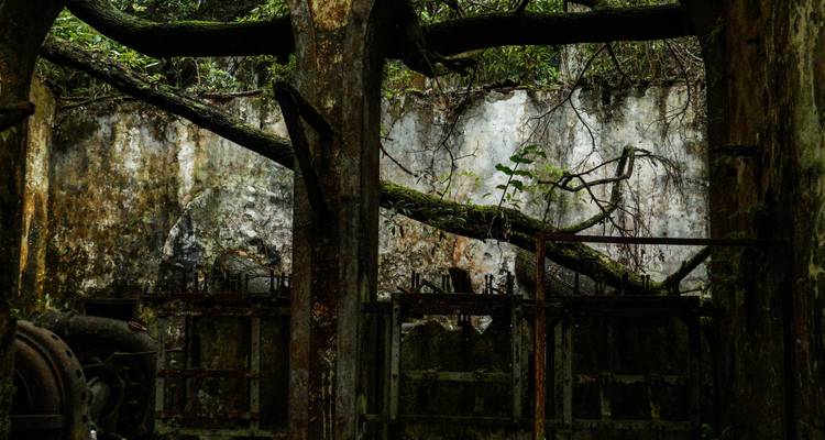 Le côté sauvage des Açores : perdu dans la verdure - Worldee 7