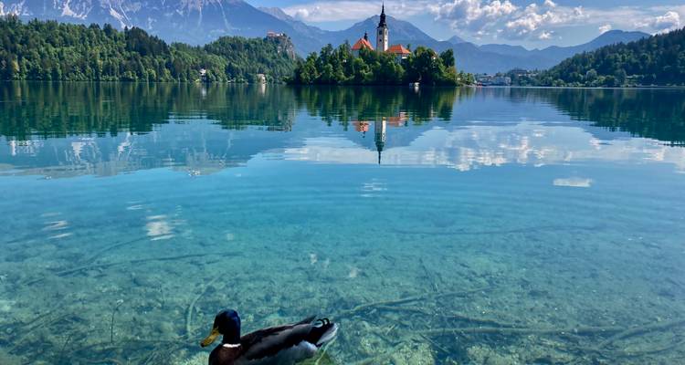 Le romantisme de la nature et des villes slovènes - Worldee 7