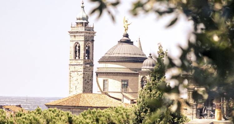Cúpula histórica y campanario rodeados de exuberante vegetación.