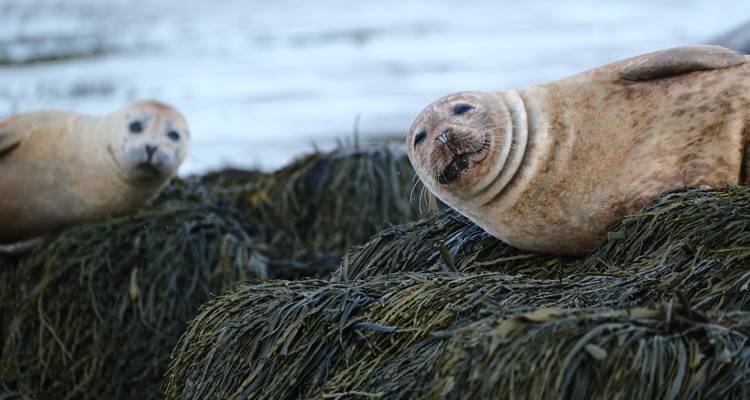 Roadtrip en Islande : le Cercle d'or et plus encore - Worldee 5