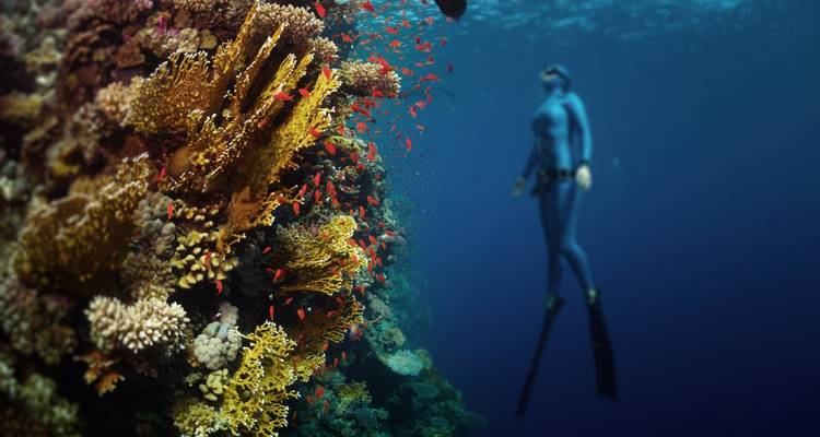 Sunny Pag: Sea, salt and relaxation - Worldee 9