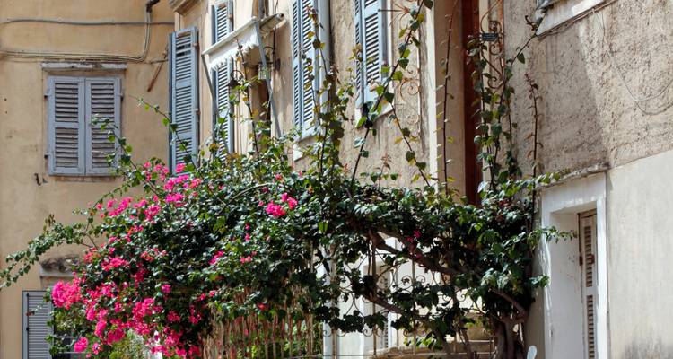 Façade d'un bâtiment ornée de vignes et de fleurs éclatantes.