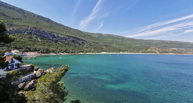 Vue côtière avec des eaux claires et une végétation luxuriante.