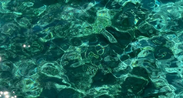 Abstract view of water surface with sunlight reflections.