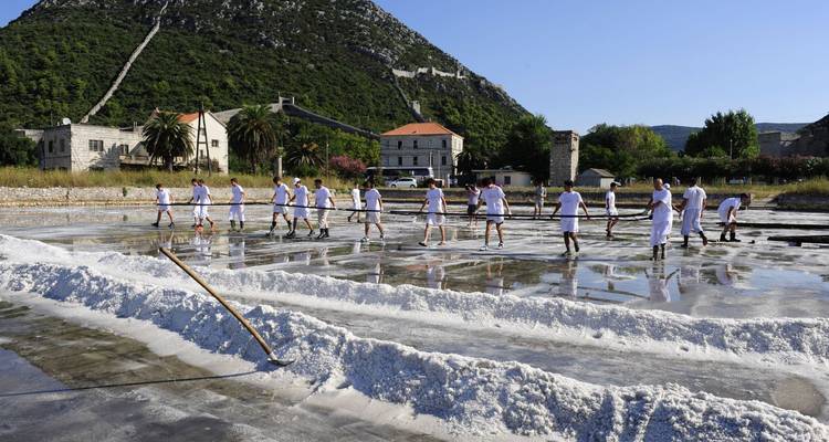 Peljesac : entre les vignobles et la mer - Worldee 8
