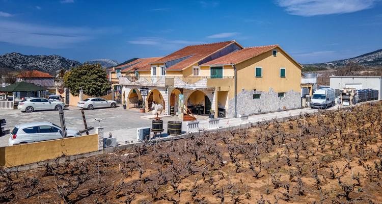 Peljesac : entre les vignobles et la mer - Worldee 2