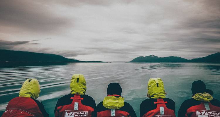 A Family Adventure in Reykjavík - Worldee 7