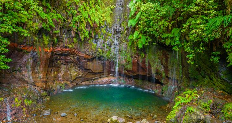 Exploring Island of Madeira - Worldee 10