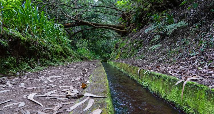 Exploring Island of Madeira - Worldee 8
